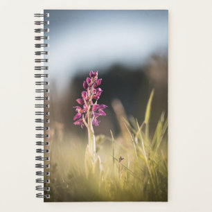 Wild Orchid Nature Photo Planner