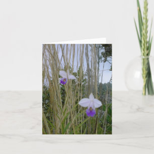 Wild Orchid Notecards, Big Island, Hawaii Card
