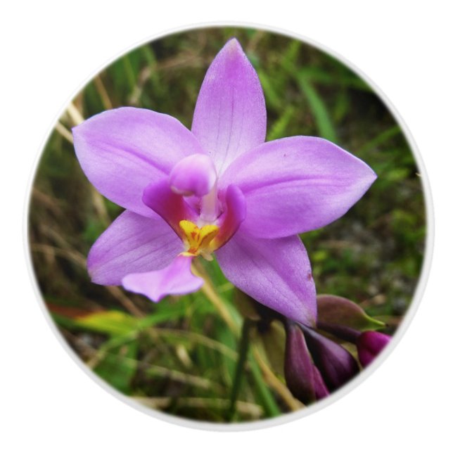 Wild Orchid Purple Tropical Flower Ceramic Knob (Front)