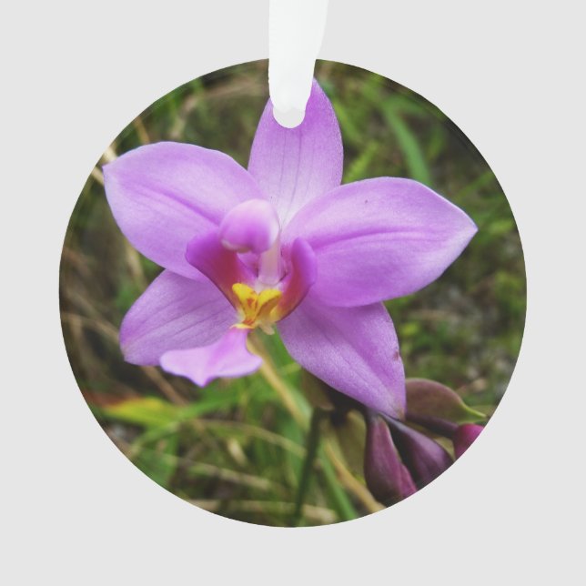 Wild Orchid Purple Tropical Flower Ornament (Front)