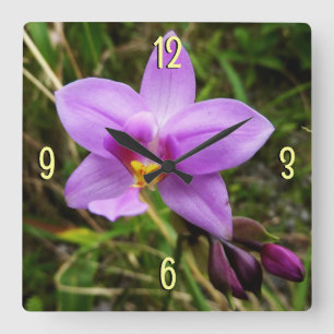 Wild Orchid Purple Tropical Flower Square Wall Clock