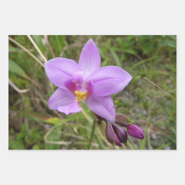 Wild Orchid Purple Tropical Flower Wrapping Paper Sheet (Front)