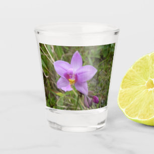 Wild Orchid Shot Glass