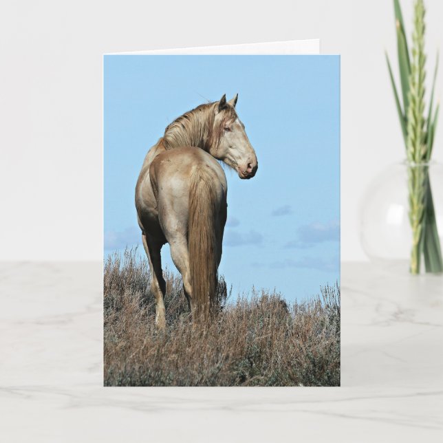Wild Oregon Mustang Stallion Greeting Card (Front)