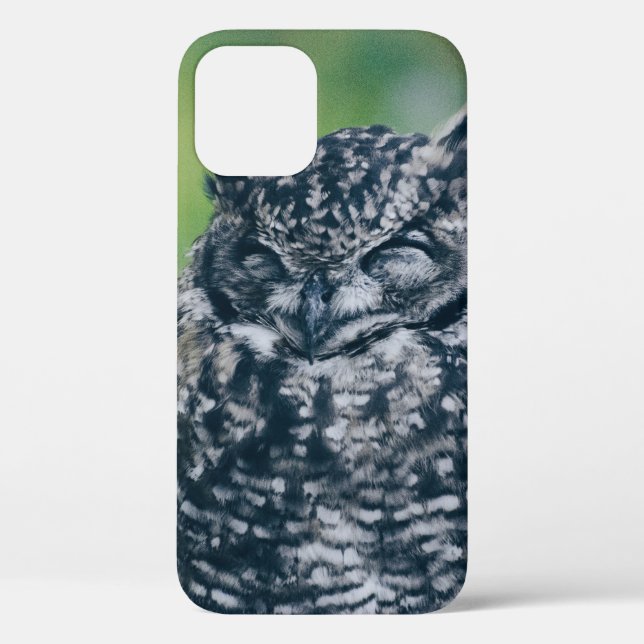 WILD OWL IN FRENCH FOREST Case-Mate iPhone CASE (Back)