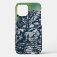 WILD OWL IN FRENCH FOREST