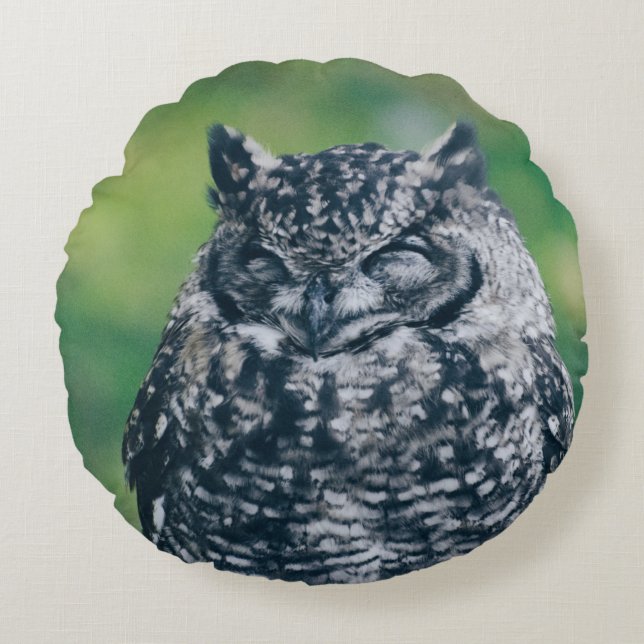WILD OWL IN FRENCH FOREST ROUND CUSHION (Front)