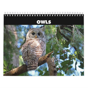 Wild Owls Calendar