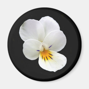 Wild Pansy Magnet