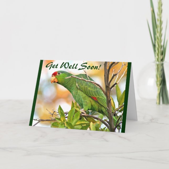 Wild Parrot Get Well Card (Front)