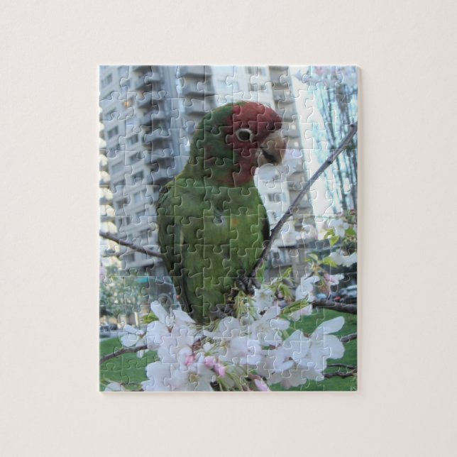 Wild Parrots Of Telegraph Hill Jigsaw Puzzle (Vertical)