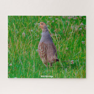 Wild Partridge Jigsaw Puzzle