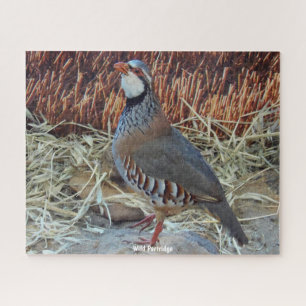 Wild Partridge Jigsaw Puzzle
