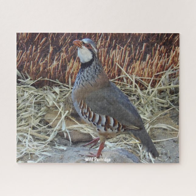 Wild Partridge Jigsaw Puzzle (Horizontal)