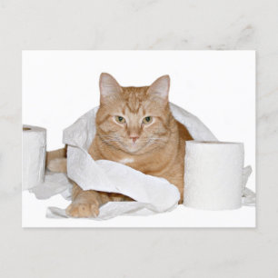 wild party postcard