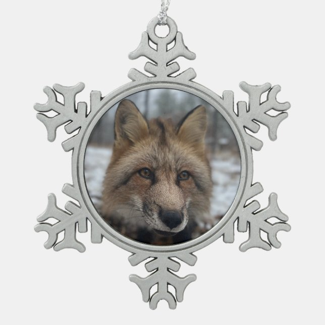 Wild Paws Flash Snowflake Framed Ornament (Front)