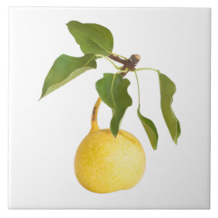 Wild pear ceramic tile