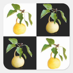 Wild pears square sticker