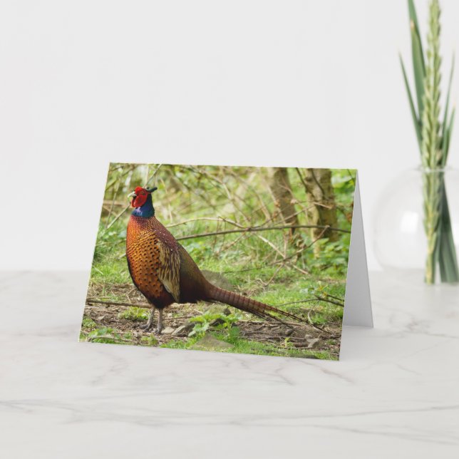 Wild Pheasant Card (Front)