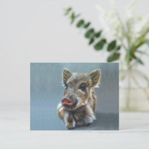 Wild piggy Postcard