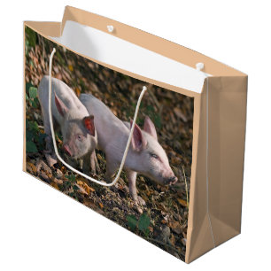 Wild Piglets Gift Bag