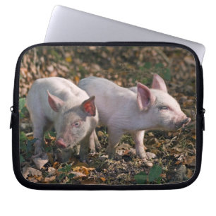 Wild Piglets Laptop Sleeve
