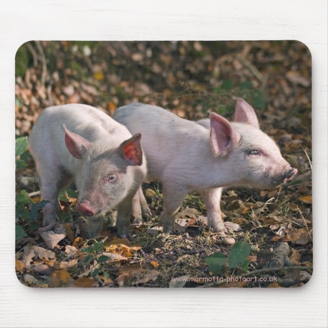 Wild Piglets Mousemat (Front)