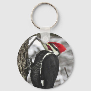 Wild Pileated Woodpecker Bird Winter Snow Keychain