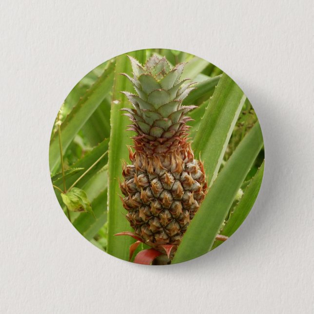 Wild Pineapple Tropical Fruit in Nature 6 Cm Round Badge (Front)
