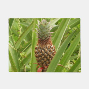 Wild Pineapple Tropical Fruit in Nature Doormat