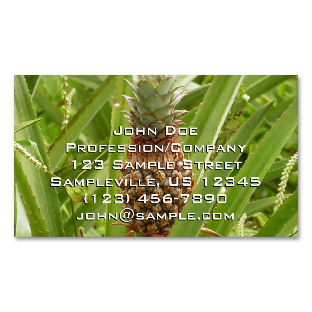 Wild Pineapple Tropical Fruit in Nature Magnetic Business Card (Front)