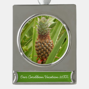 Wild Pineapple Tropical Fruit in Nature Silver Plated Banner Ornament