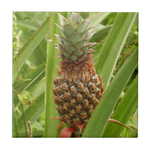 Wild Pineapple Tropical Fruit in Nature Tile