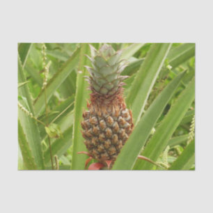 Wild Pineapple Tropical Fruit in Nature Tissue Paper