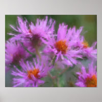 Wild Pink Asters Flower Art