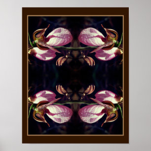 Wild Pink Lady Slipper Orchid Pair Abstract Poster