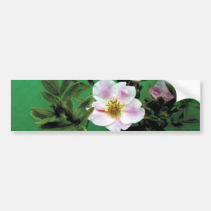 wild pink rose flowers in green, Elegant Bumper Sticker