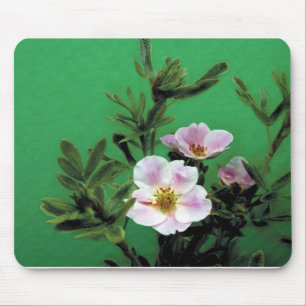 wild pink rose flowers in green, Elegant Mouse Pad