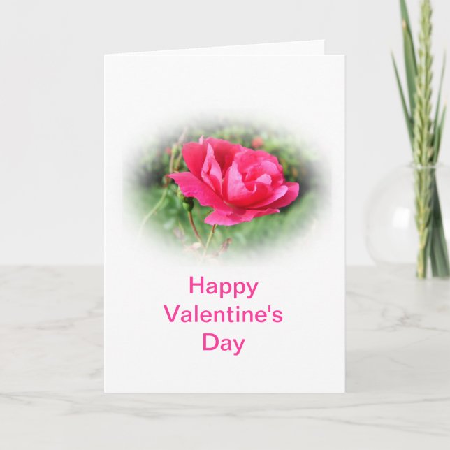 wild pink rose flowers, Valentine's Day Holiday Card (Front)