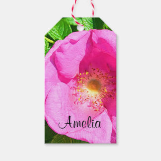 Wild Pink Rose Photo Trust in the Lord Bible Verse Gift Tags