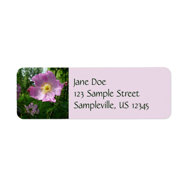 Wild Pink Roses in Alaska Return Address Label (Front)