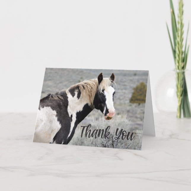 Wild Pinto Stallion Photo Thank You Card (Front)