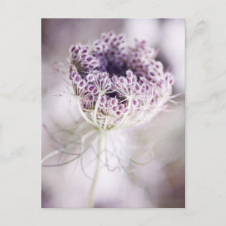 wild plant postcard