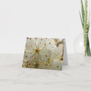 Wild Plum Blossoms Impressionist Art Blank Inside Note Card
