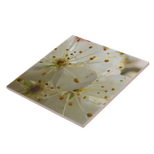Wild Plum Blossoms Impressionist Art Ceramic Tile