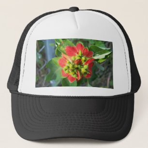 wild Poinsettia Trucker Hat