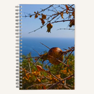 Wild Pomegranate Sunny Montenegro Summer Notebook