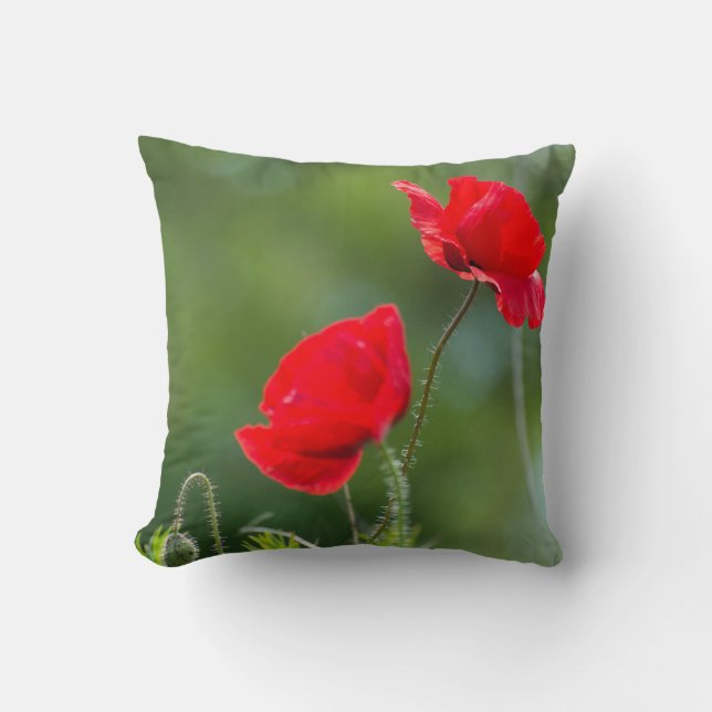 Wild poppies cushion (Front)