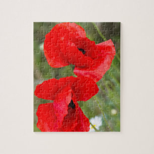 Wild poppies jigsaw puzzle