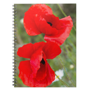 Wild poppies notebook